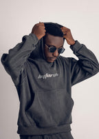 METEORA //  Hoodie (gray)